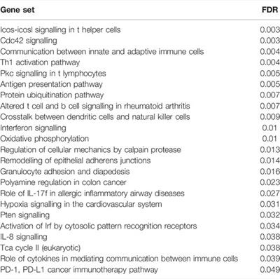 A Mechanistic Cellular Atlas of the Rheumatic Joint